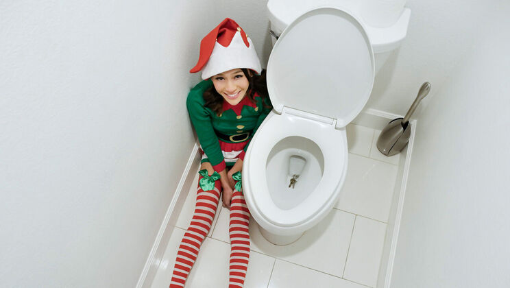 Teen Elf Fucked Rough on the Shelf