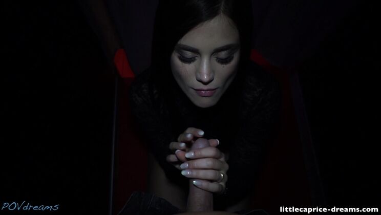 [POVDreams] - POV Blowjob with Brunette at Public Erotica Expo - LittleCaprice